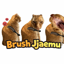 Brush Jjaemu img